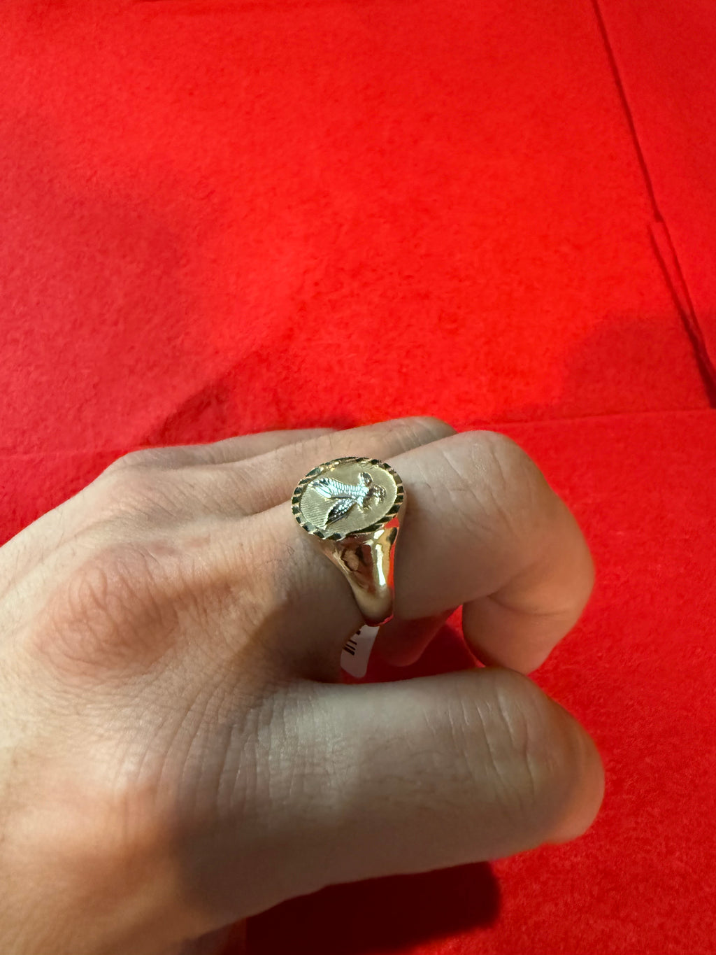 Anillo de Oro 💍 10k
